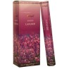 Encens Lavande "Aromatika" Hexa