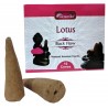 Encens cônes "Backflow" LOTUS