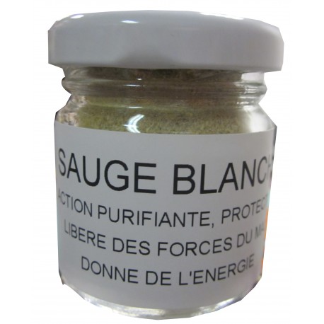 SAUGE BLANCHE