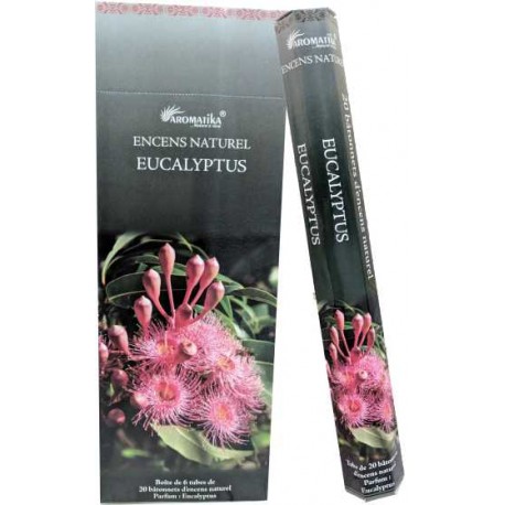 Encens eucalyptus "Aromatika" hexa